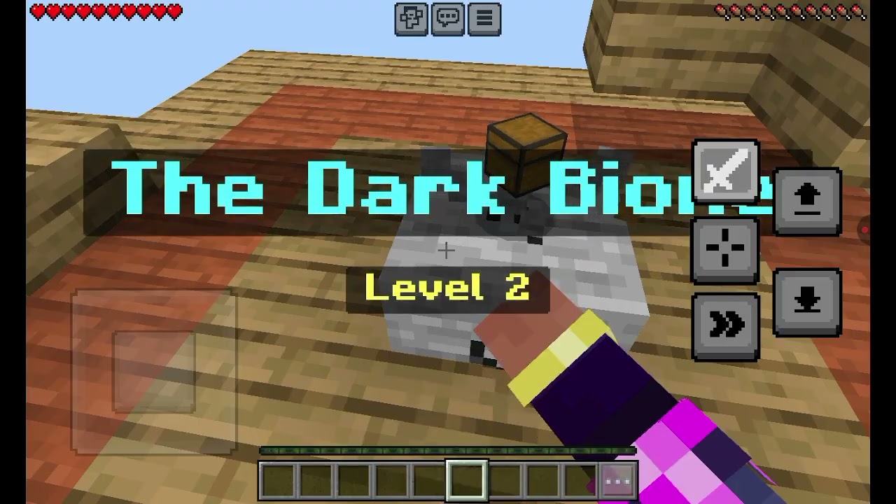 MİNECRAFTSKYBLOCK  END...