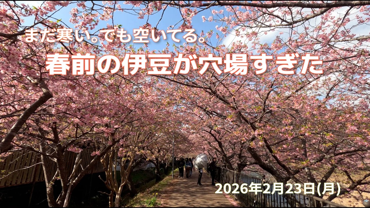 【伊豆キャンプ】冬でも快適。混雑ゼロでサーフィンと河津桜を満喫
