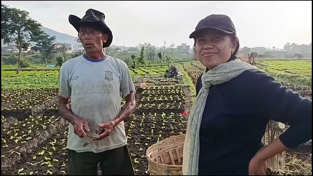 Delapan menit bersama Petani di Metro Batu #youtuber  #batumalang #youtube #fypシ゚viral #nature 