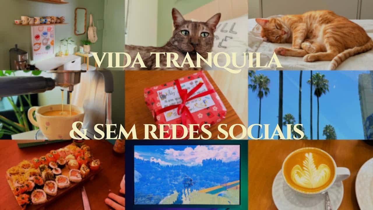 1 semana SEM redes sociais, trabalho de casa e meus 5 gatos alegrando a vida