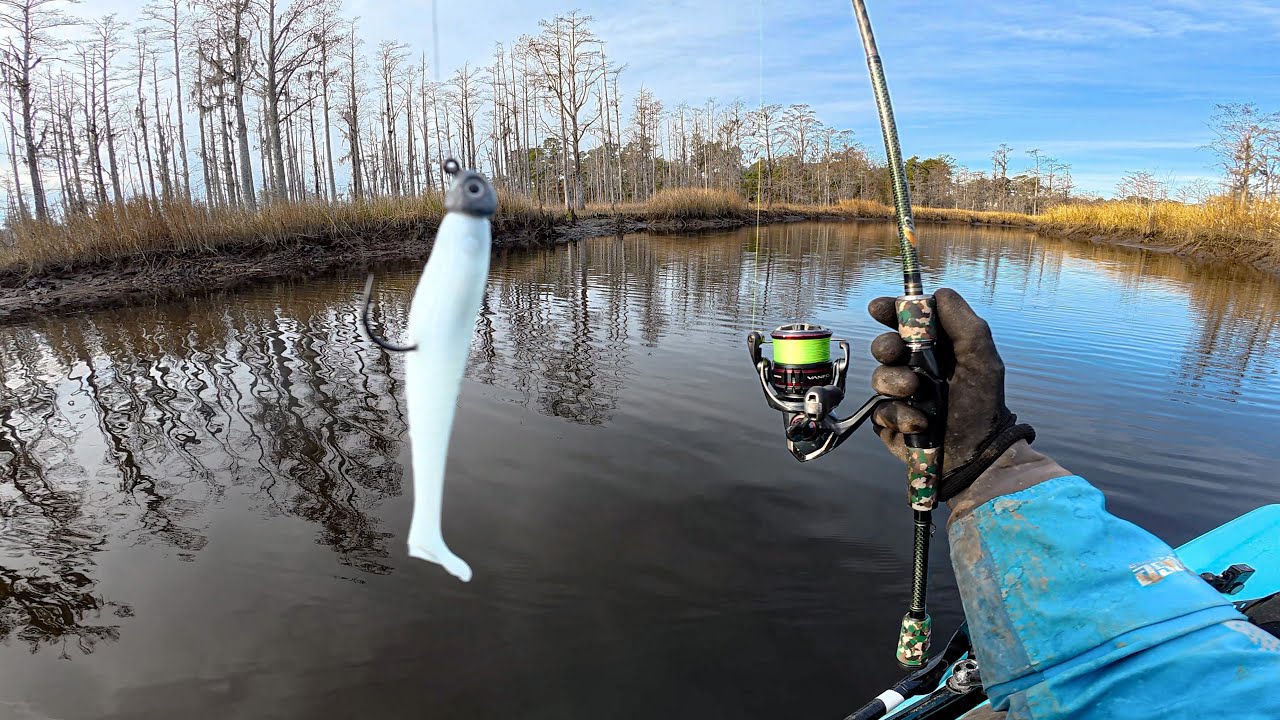 7 Species Creek | Big Bo’ PB