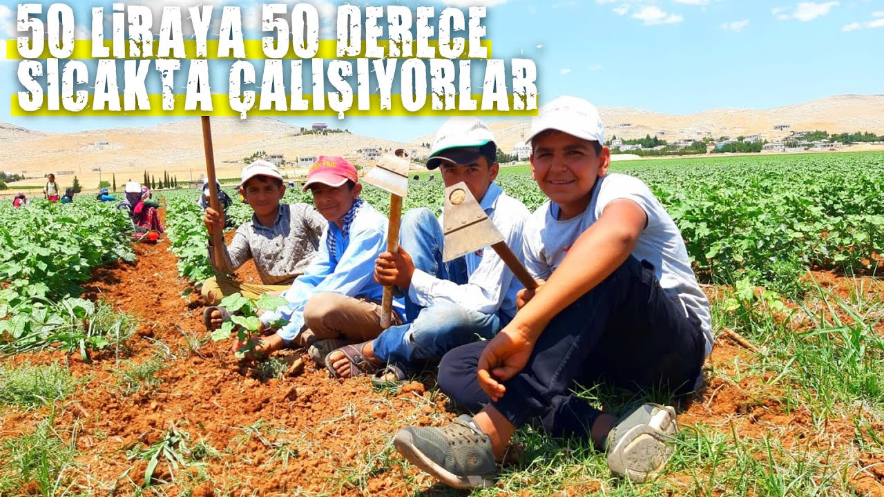 50 Lira Yevmiyeyle Çalışan İşçilerinin Maruz Kaldığı Sıcaklık 50 Derecenin Üstünde