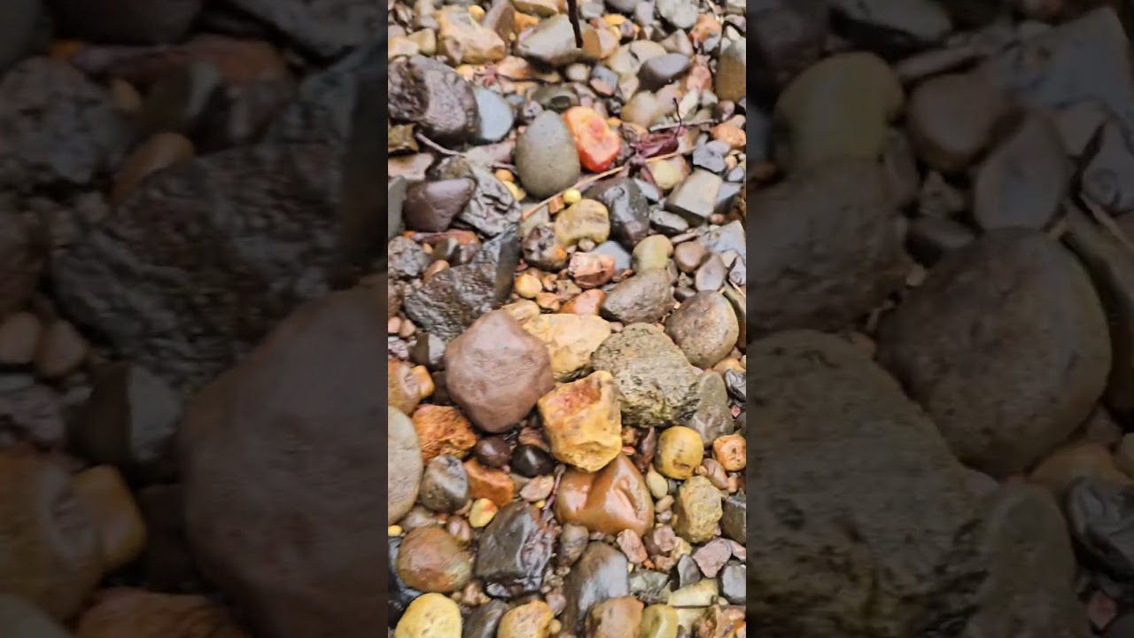 Found the holy grail of agate gravel bars!! 