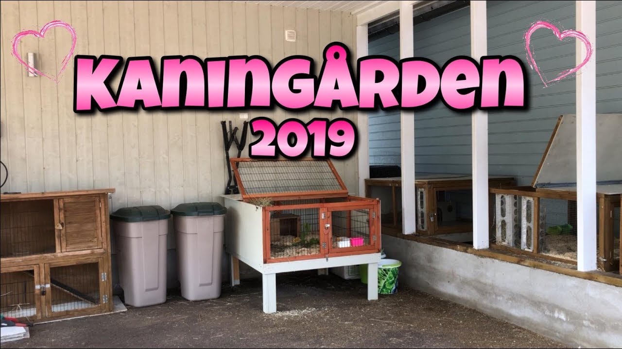Kaningården 2019