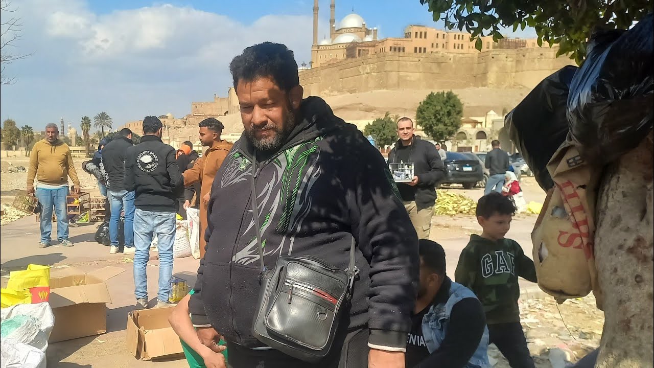 اسعار اكل العصافير عند ابو عمار هذا الاسبوع بسوق الجمعة القاهرة السبت ٢٨فبراير