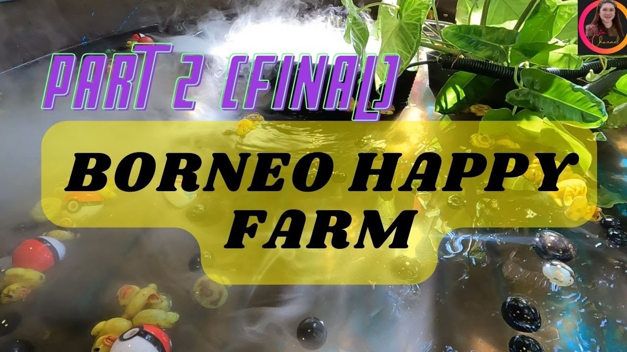Borneo Happy Farm (Part 2)