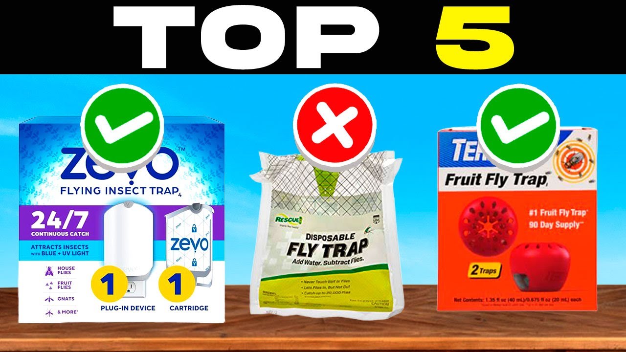 TOP 5 BEST FLY TRAPS 2026 | Best INSECT TRAPS on AMAZON Value for Money