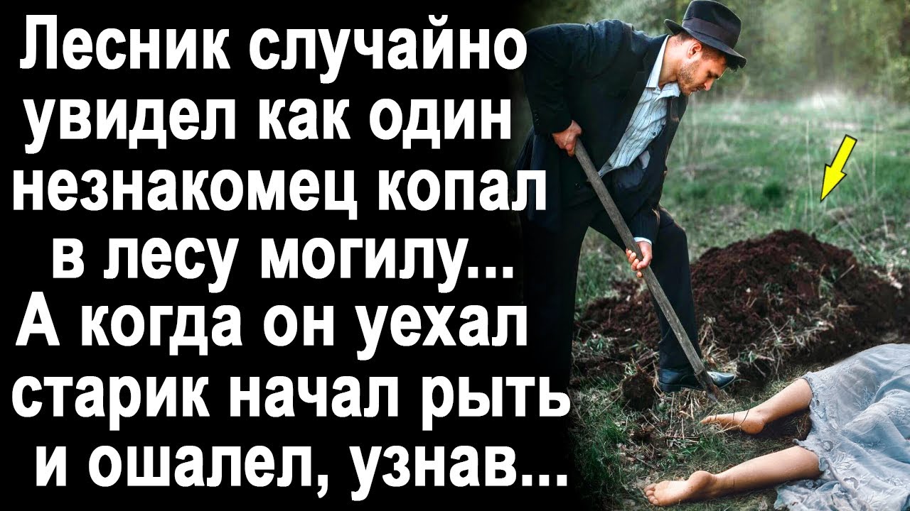 Лесник случайно увидел, как незнакомец копал в лесу могилу. А когда он уехал, старик начал рыть...