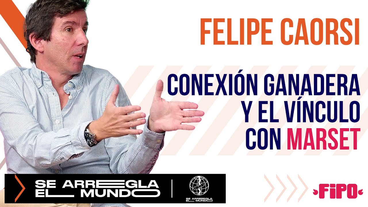Conexión Ganadera: cómo funcionó el esquema Ponzi durante 25 años, según Felipe Caorsi