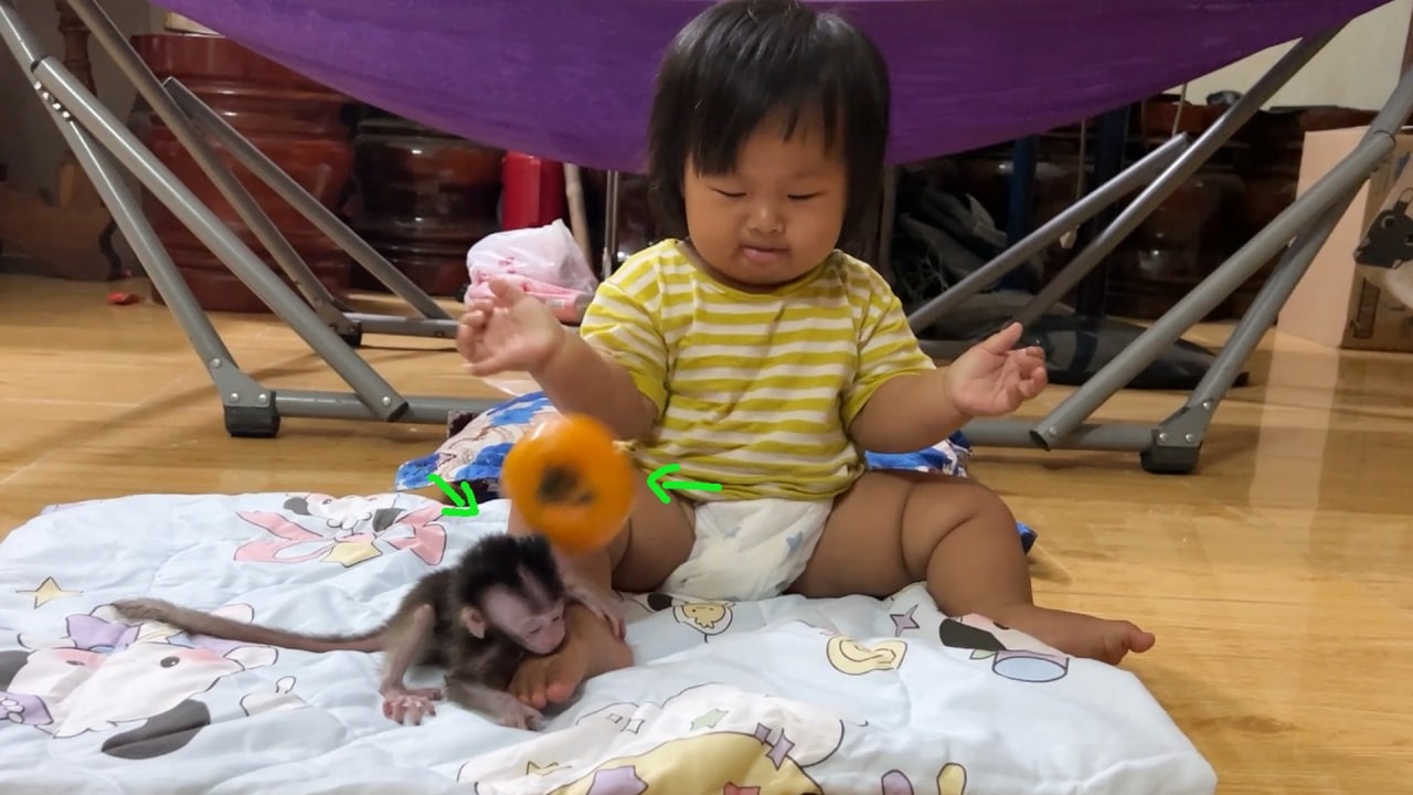 OHHH God Newborn Baby Monee Scr-atch Baby Girl Make Her Suprisingly Drop Fruit On Monee's Head