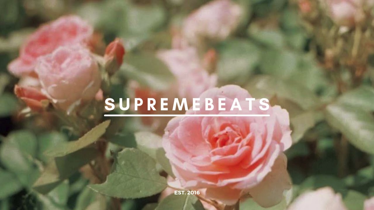 dilushselva - break ma soul