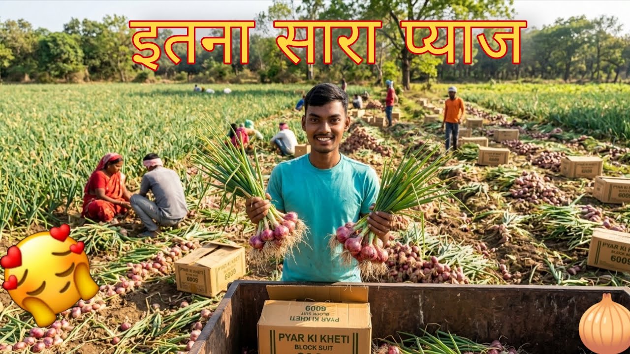 🧅 Bihar Village Onion Harvesting Vlog | Desi Farming Life 2026 🌾🚜 |