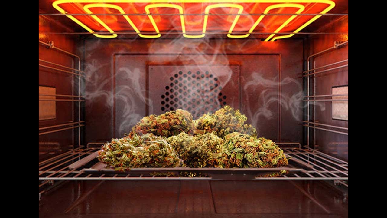 &iquest;Qu&eacute; y c&oacute;mo es la descarboxilaci&oacute;n de cannabis?