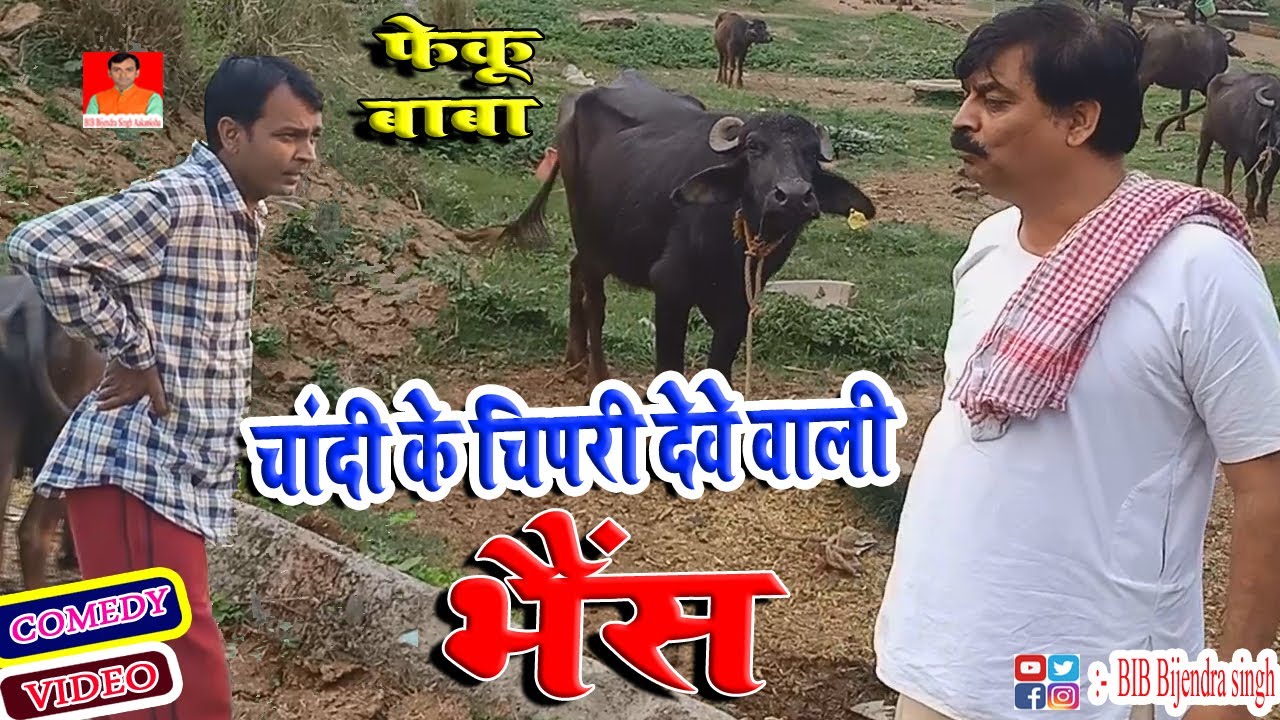 फेकू बाबा | चंदी के चिपरी | CHANDI KE CHIPARI | BIB BIJENDRA SINGH, ANAND MOHAN COMEDY