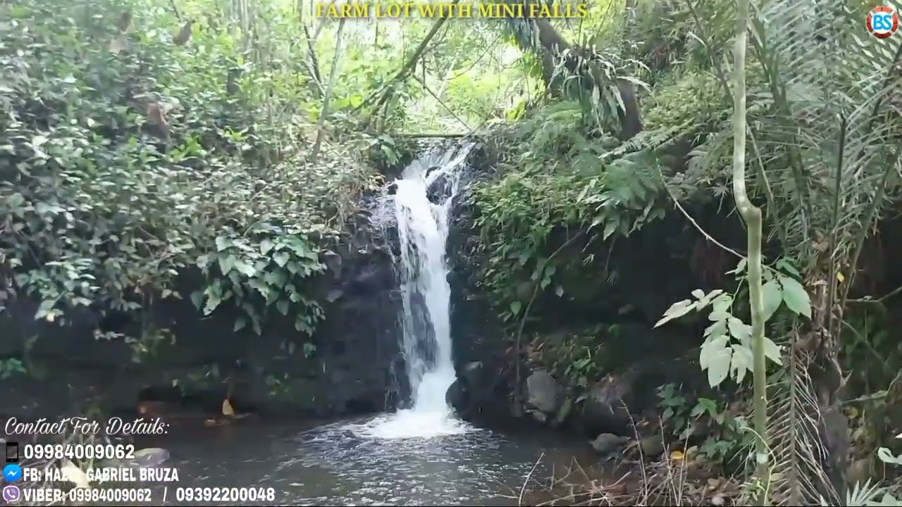 (P#272) Farm lot with Mini-Falls along the road 10 hectares @ 500/sqm in Nagcarlan, Laguna  for sale