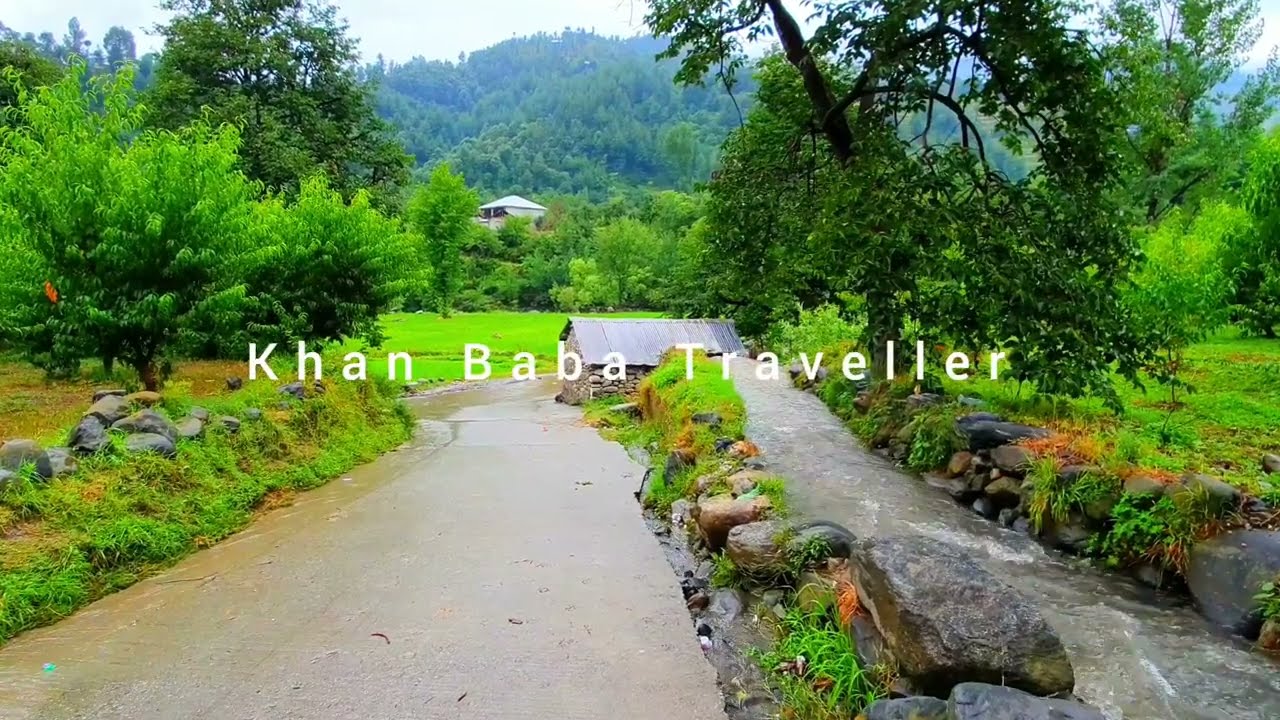 LOOK DEEP INTO NATURE | Bar Shawar
