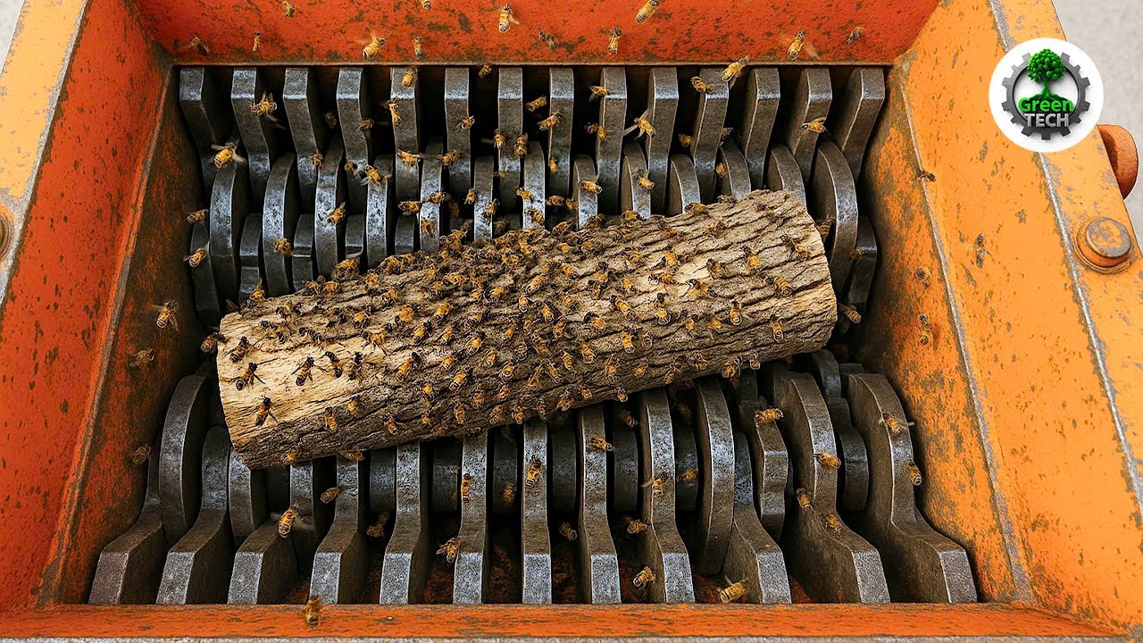 Extreme Dangerous Wood Chipper & Shredder Demolitions: Crushing Everything in Sight! #35