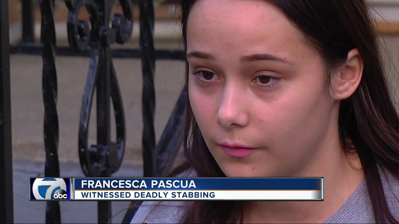Teen girl dies after being stabbed during fight at Fitzgerald High School in Warren