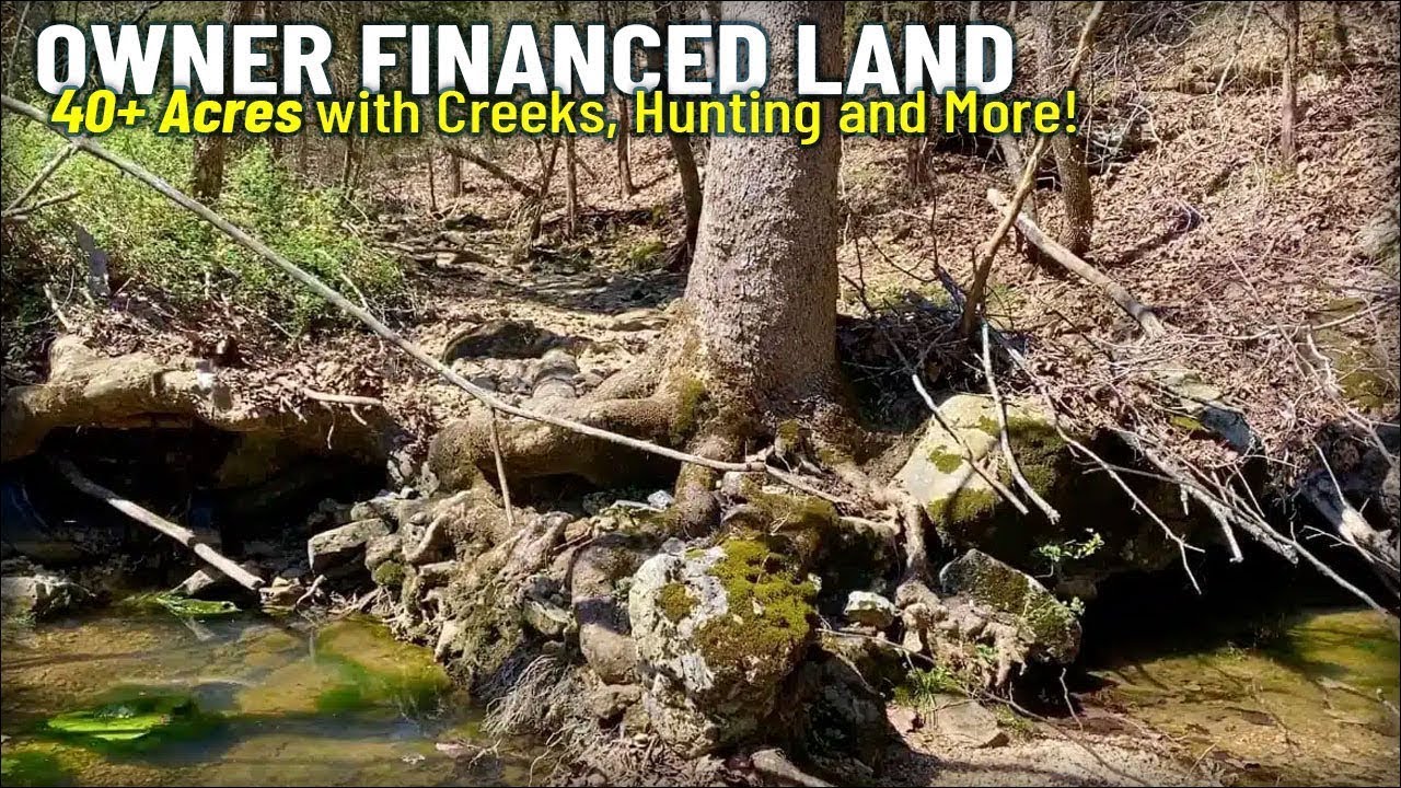 40+ acres w/ OWNER FINANCING & A spring! - Creeks, timber, deer and turkey! ID#JJ02 InstantAcres.com