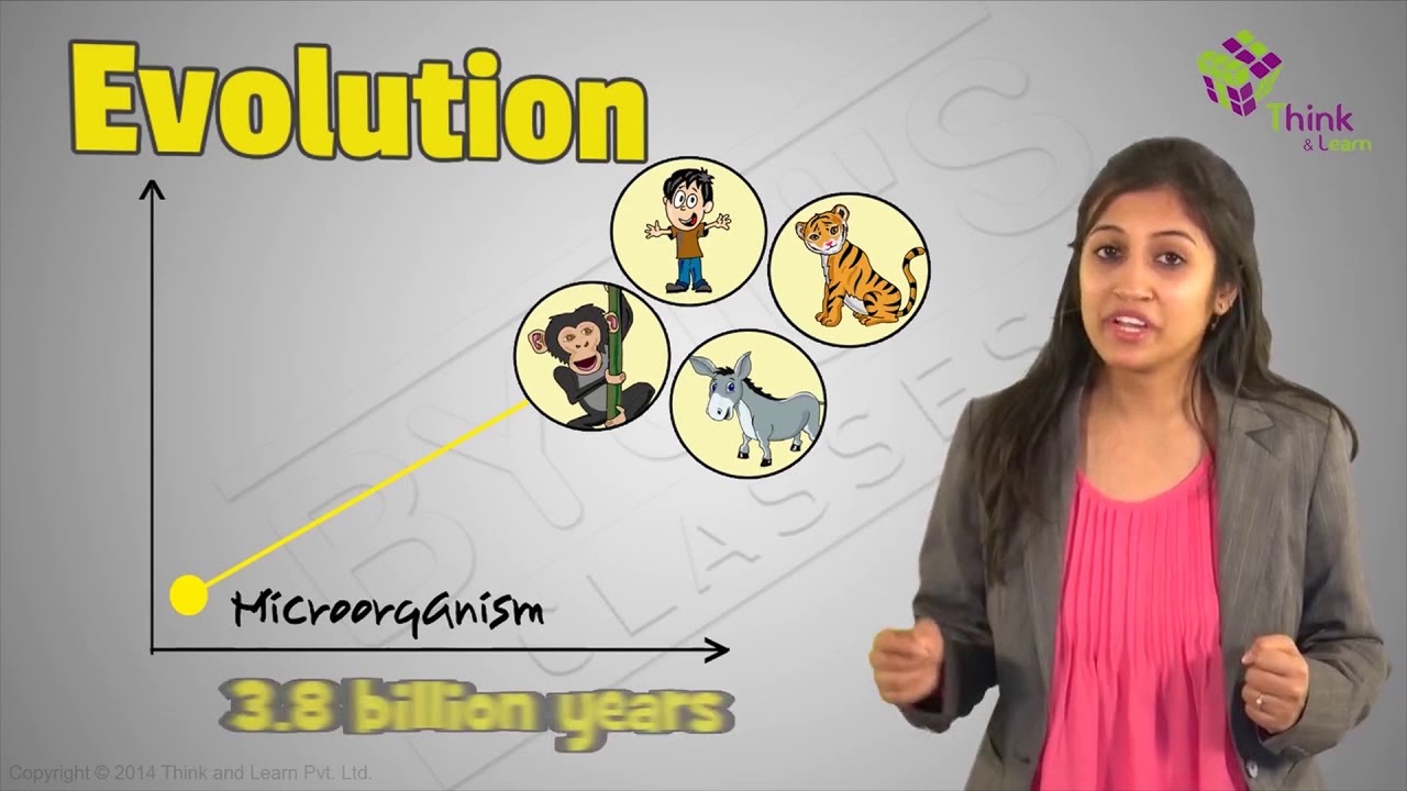 Modern Synthetic Theory Of Evolution Explained - Genetic Changes