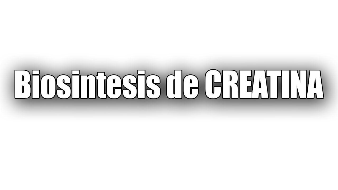 Biosintesis de CREATINA ¿Qué es? ¿Para sirve? TODO LO QUE NECESITAS SABER🥶