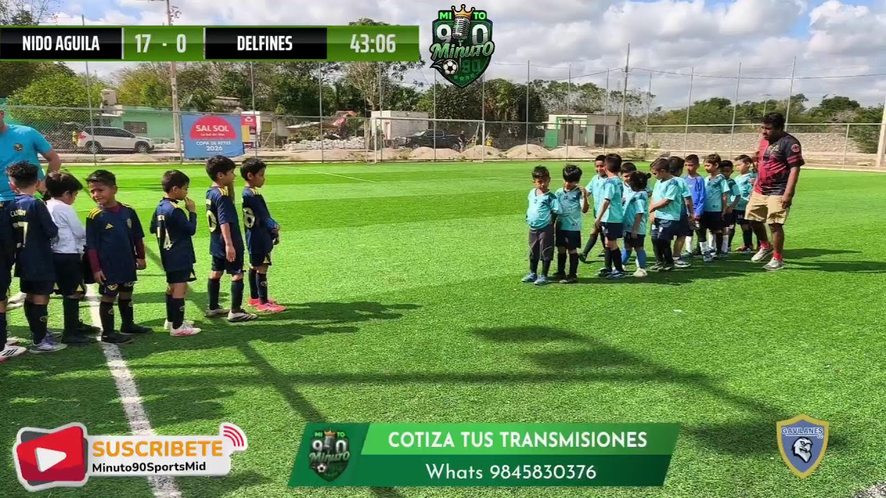 COPA REYES PENINSULAR/ NIDO AGUILA VS DELFINES / INFANTIL MENOR