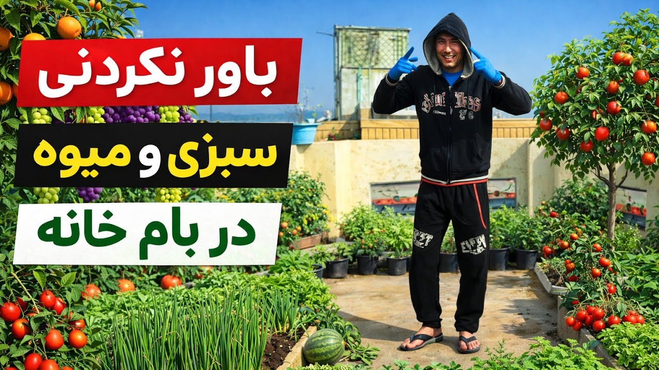 همه گفتند غیرممکن است…اما من در پشت‌بام خانه سبزی و درخت میوه کاشتم و بهترین نتیجه را گرفتم 