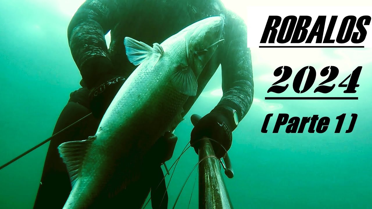 Robalos 2024 (Parte1)
