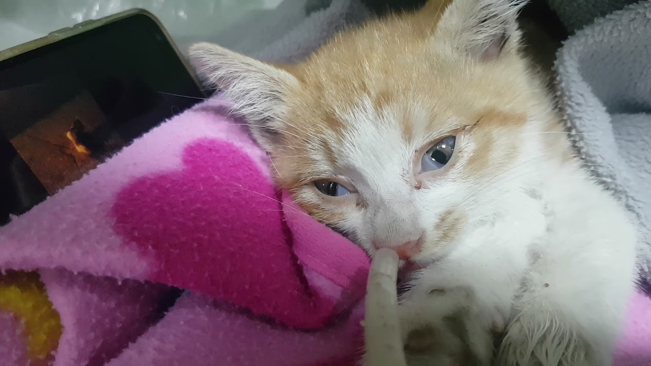 엄마의 목소리를 들은 계절이~~ 호흡정지가 한 번 왔다는 말에 놀라서 제가 너무 많은 말을 했네요ㅜ 내일은 미누 목소리만ㅠ