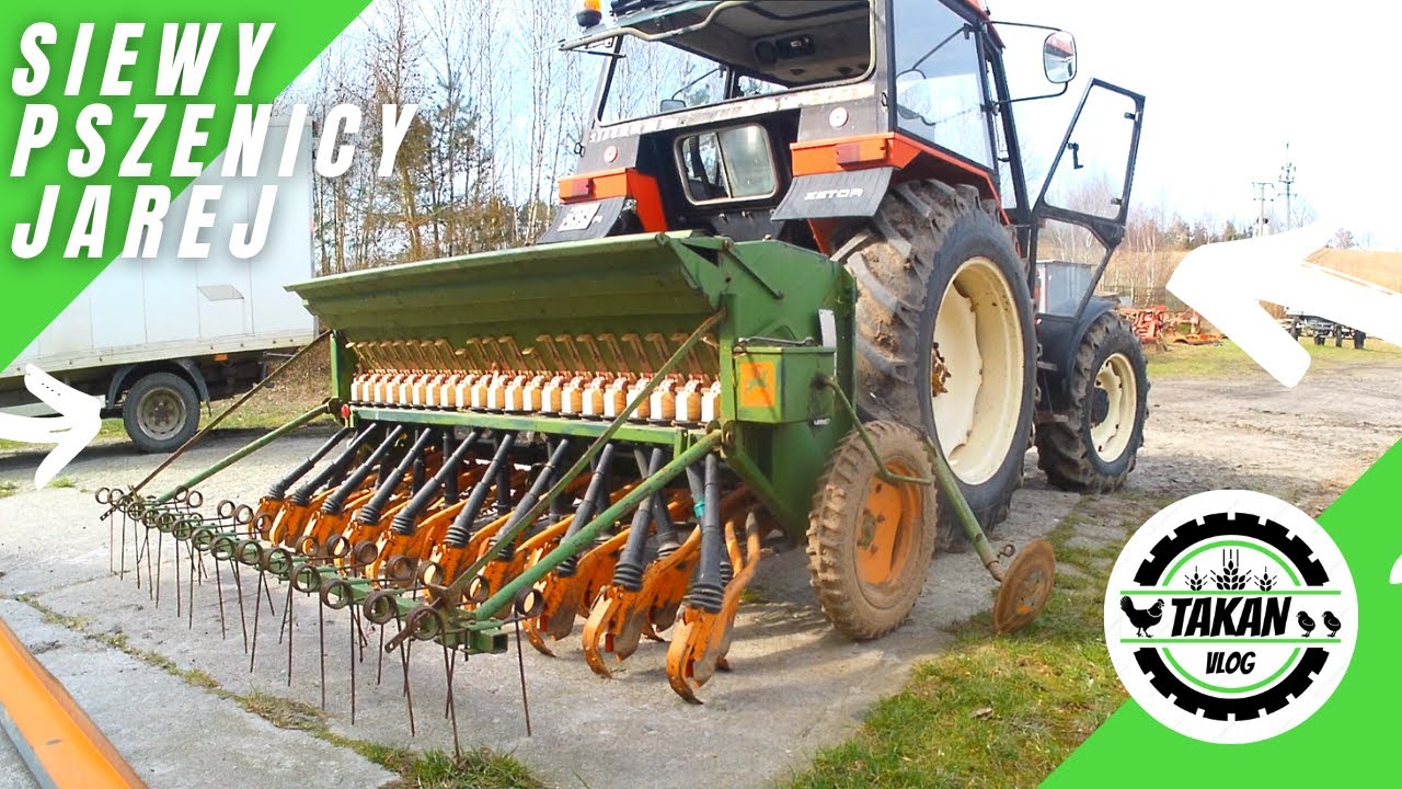 ☆ Siewy pszenicy jarej Amazone D7 special ll, Zetor 6340 ☆