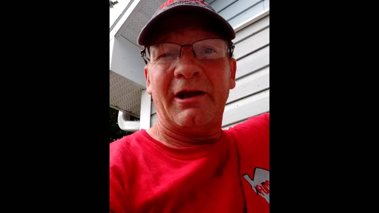 705.896.2847: Humane Little Brown Bat Removal In Glen Orchard Ontario
