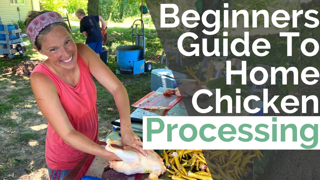You CAN Process Chickens at Home - Everything You Need to Know | Self Sufficient Homestead