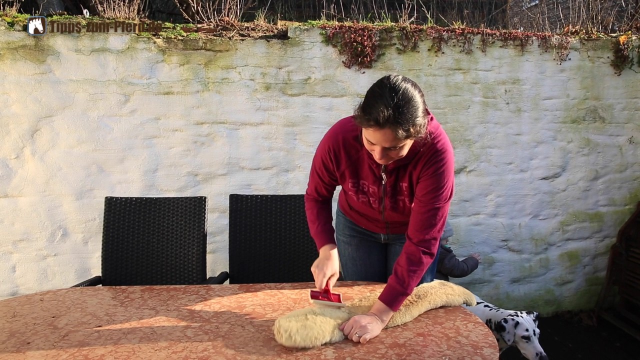 Lammfell b&uuml;rsten   so geht's