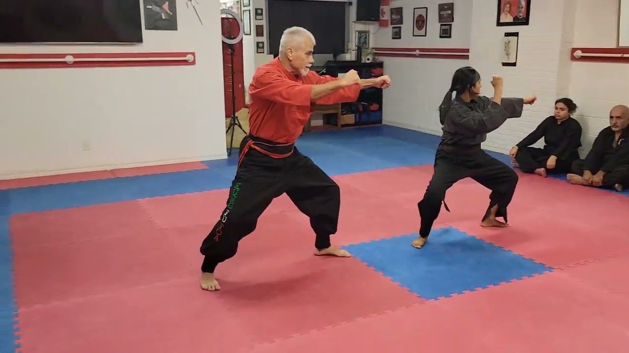 ATADO - Kung Fu TO'A 