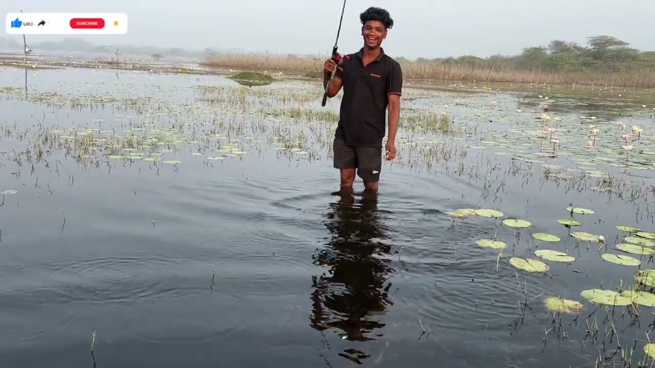 Snakehead fishing | fishing video in tamil | fishing lure frogs | how to fishing in tamil 