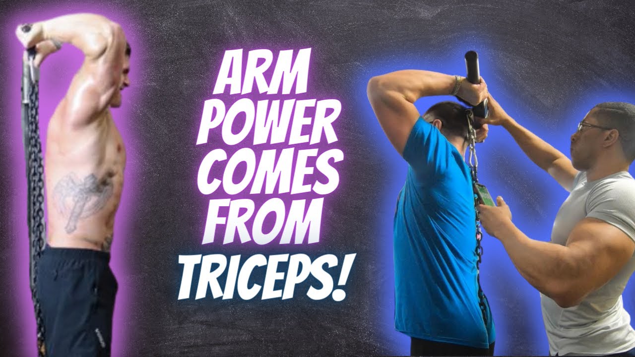 Every Single Tricep Exercise on the Isochain!