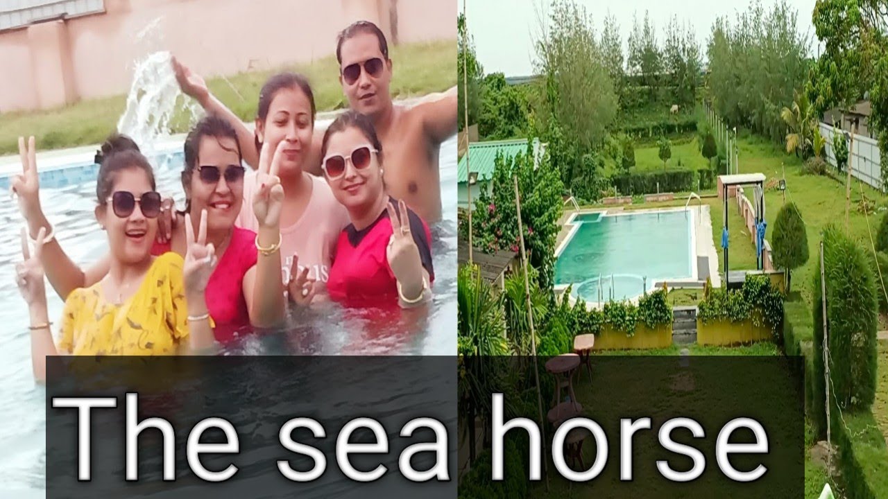 The sea horse hotel mandarmani।। reasonable price hotel #bengalivlog #mandarmani #ইচ্ছেমনshatarupa