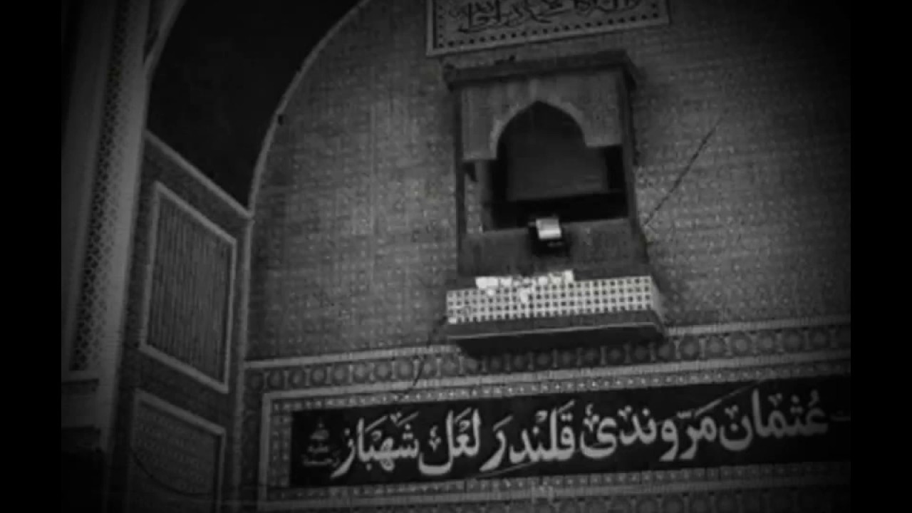 شلة كلندر باز.....  معلم خصيب
