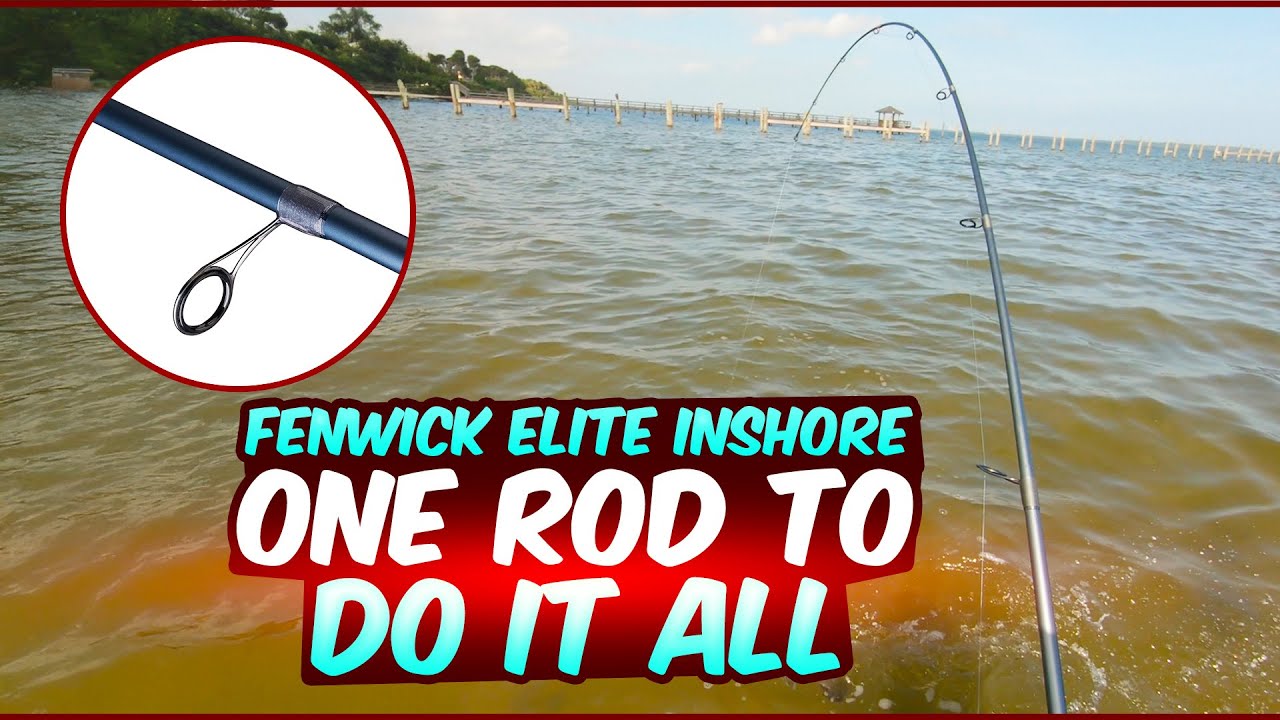 Fenwick Elite Inshore 8&ndash;17lb Spinning Rod Review: Top Features 🔥