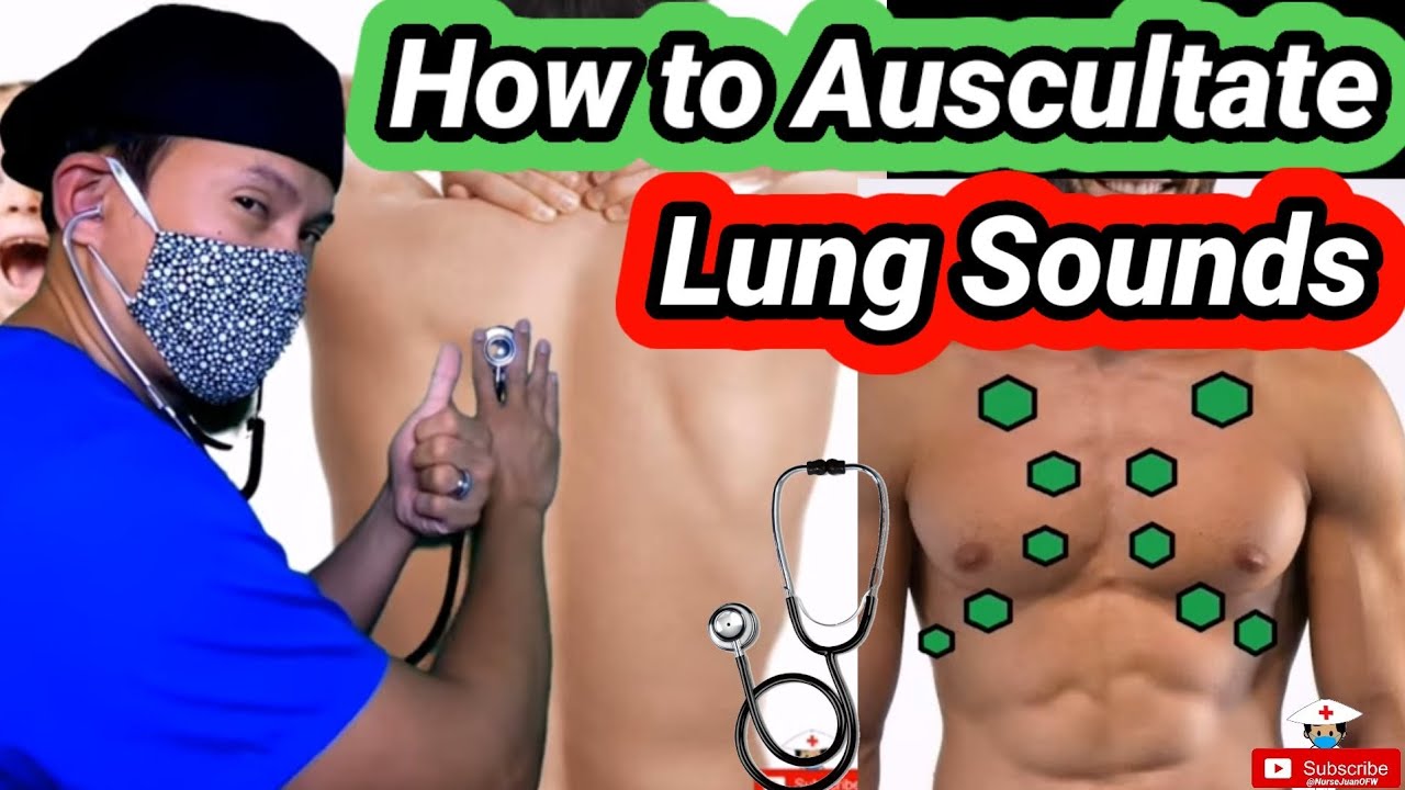 Lung Sounds and Lung Auscultation 101