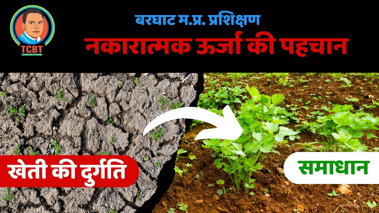 03 बरघाट म.प्र. प्रशिक्षण: नकारात्मक ऊर्जा की पहचान, खेती की दुर्गति और समाधान #tcbt