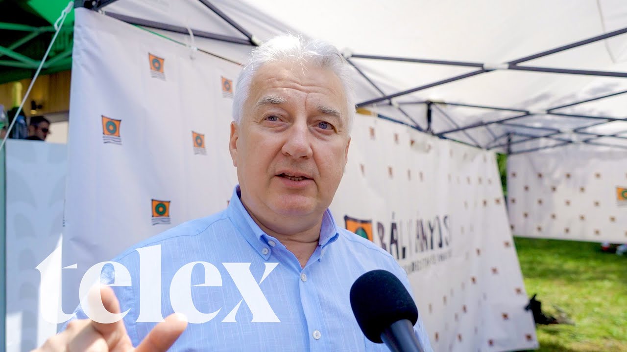 Semj&eacute;n Zsolt: Vannak meleg bar&aacute;taim