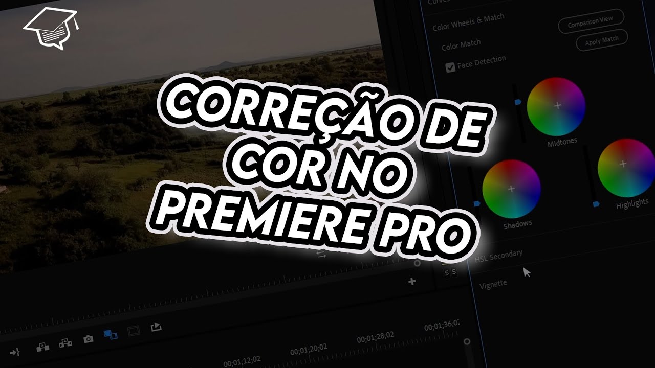 Como fazer Corre&ccedil;&atilde;o de Cor de Cinema no Premiere Pro