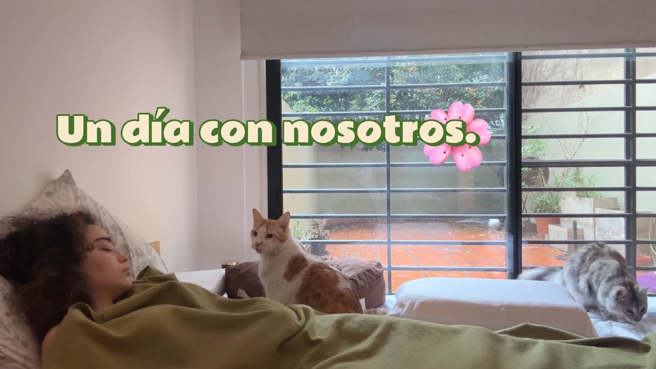 mi vida ahora que tengo dos hijos (y uno muy gordo)
