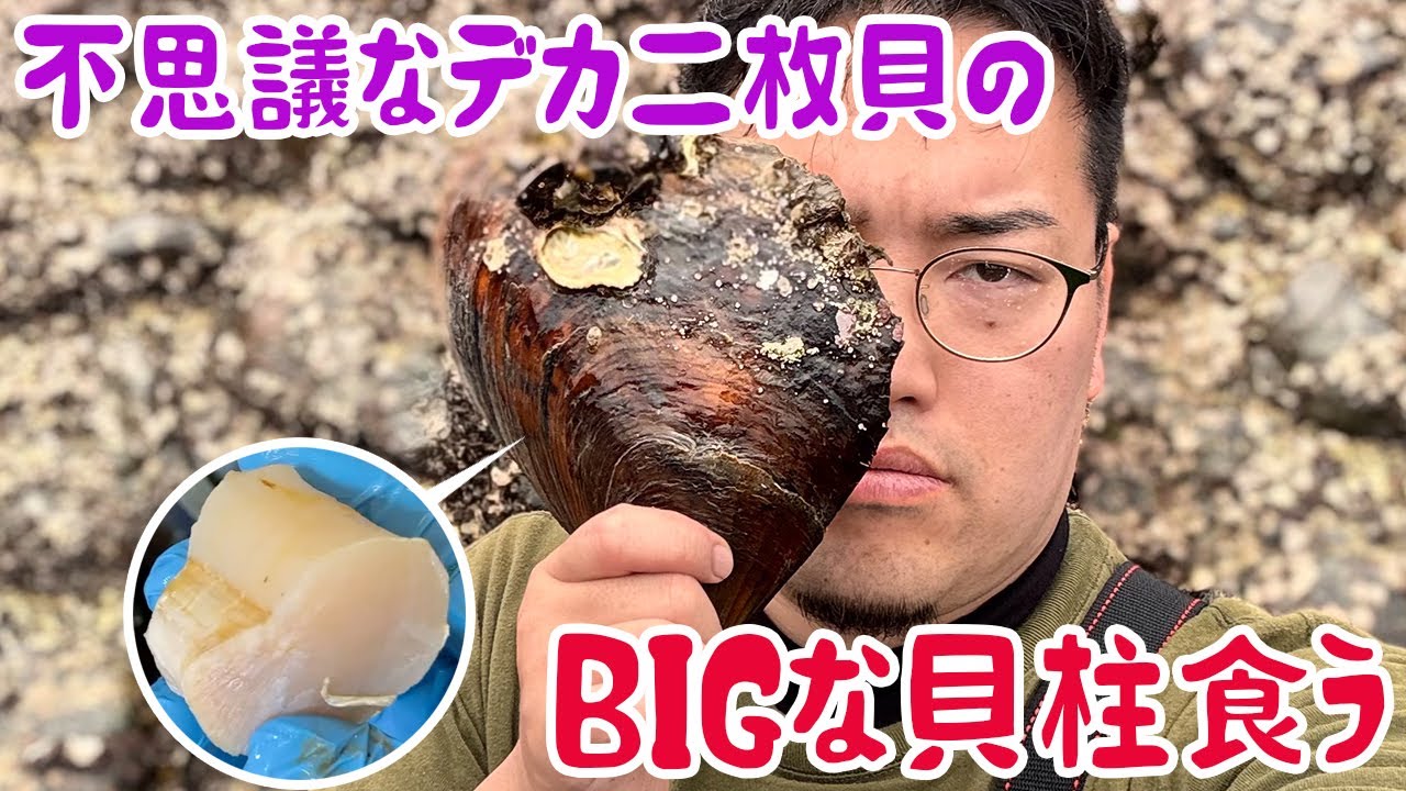 不思議なデカ二枚貝のBIGな貝柱食う