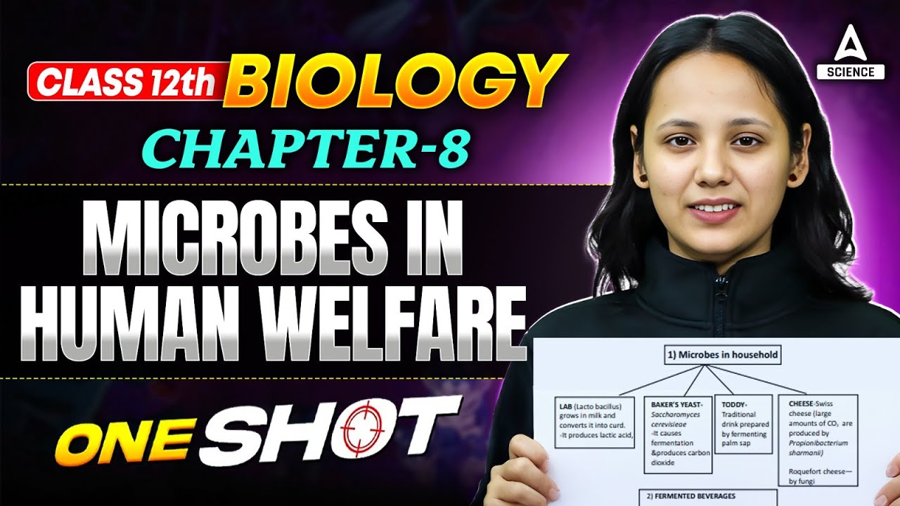 Class 12th Biology Chapter 8 Microbes in Human Welfare in One Shot