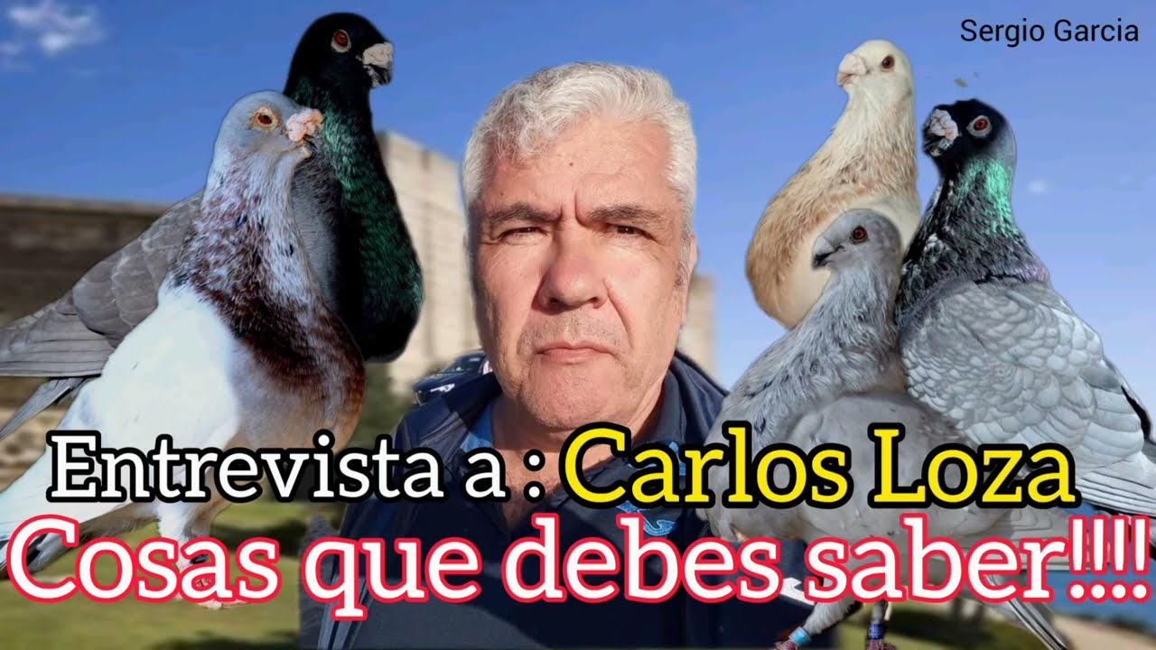 Lo que nadie te conto sobre el Buchón Valenciano y otras ideas del Palomeo. Entrevista a Carlos Loza