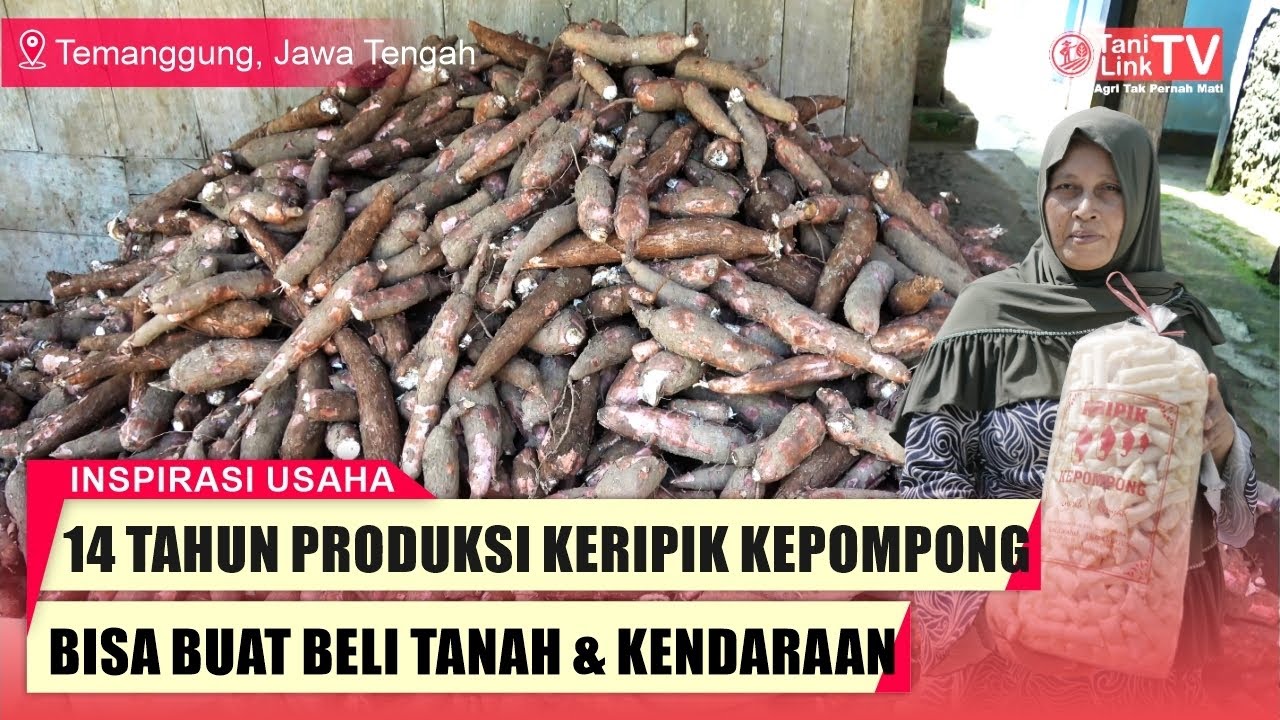 Sukses Olah Singkong Jadi Keripik Kepompong, Sehari Produksi 300 Kg Singkong