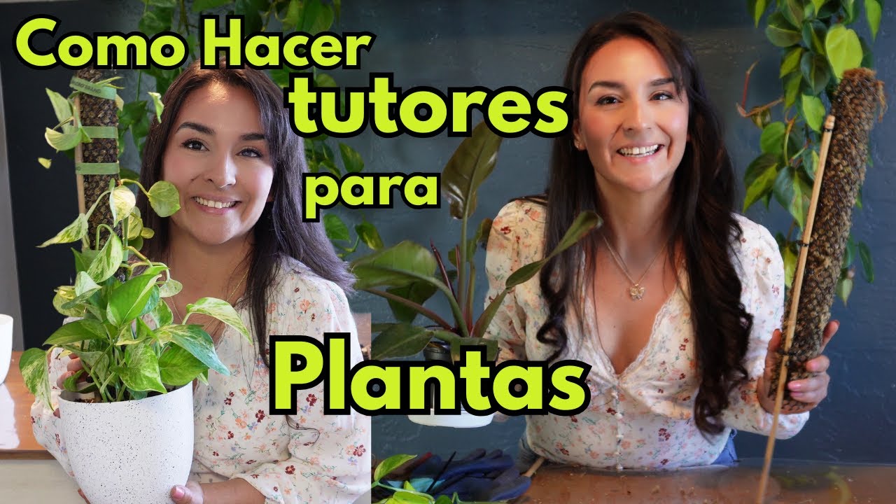 COMO Hacer un TUTOR para tus PLANTAS