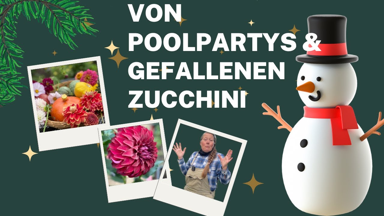 Soulflowerfarm Adventskalendertürchen Nr. 17 #garten #reactionshort  #flowers 